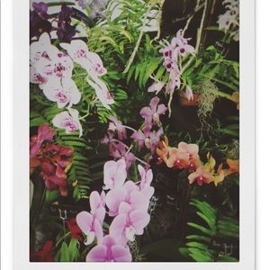 Meet your Posher, Natalia